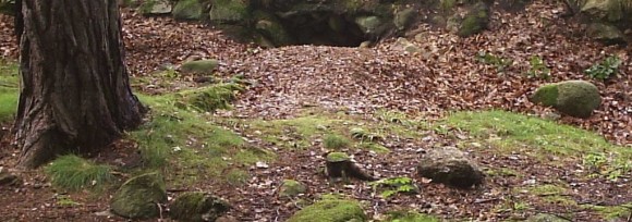 Ścieżka przyrodniczo-leśna Szklana Huta